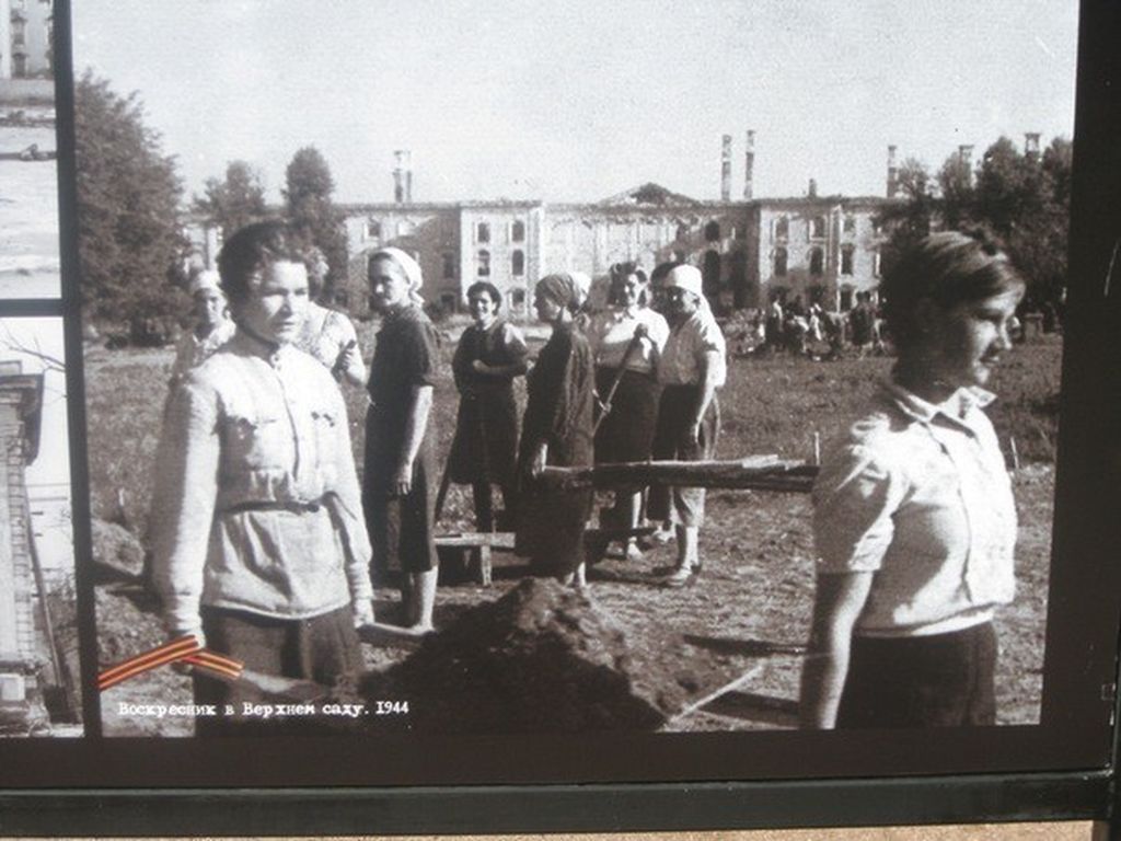 Воскресник в Верхнем саду. 1944.